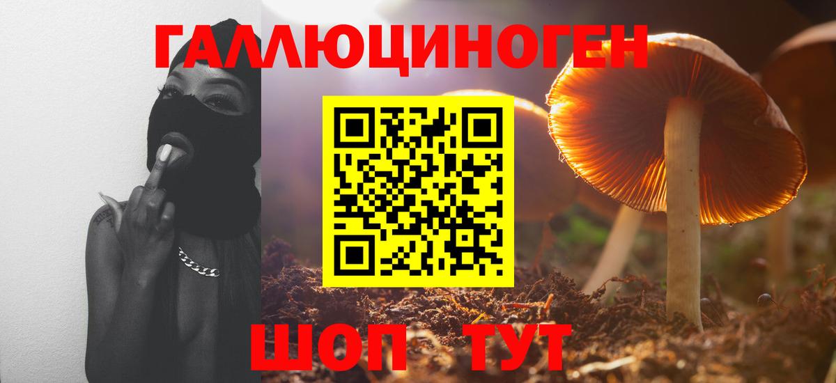 Псилоцибиновые грибы прущие грибы  Галлюциногенные грибы прущие грибы  Вход с VPN  Южно-Сахалинск 